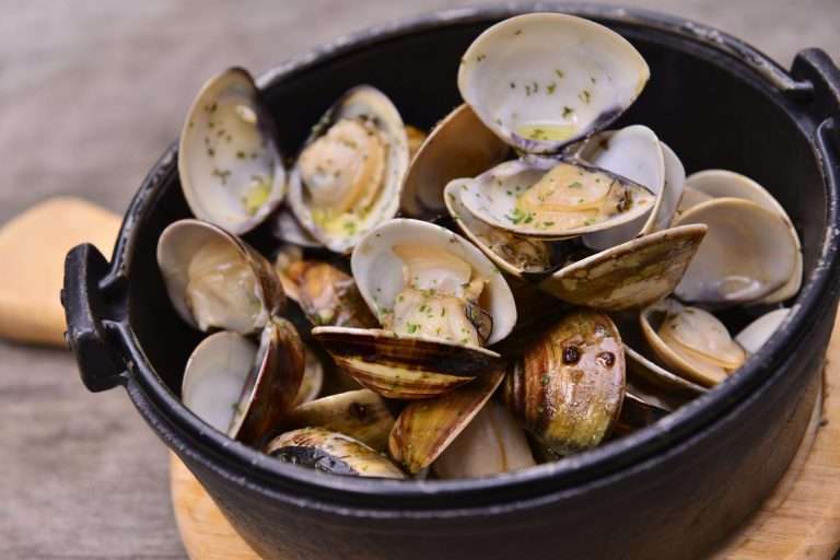 White clams-in-half shell