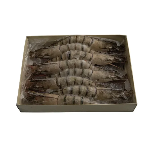 Premium Semi - IQF Raw HOSO Black Tiger Prawns (6/8, 750g net)-1x1kg - Image 2