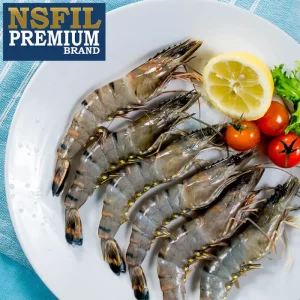 IQF Raw HOSO Black Tiger Prawns