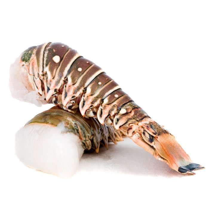 Raw Rock Lobster Tails